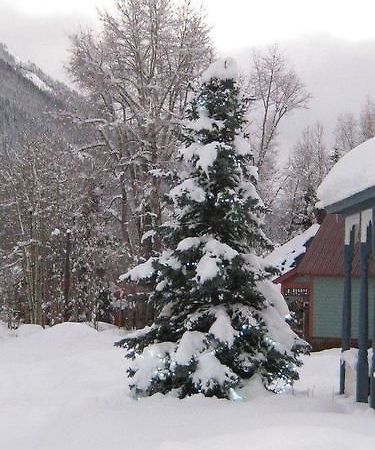 Blair Street Hostel Telluride Exteriér fotografie