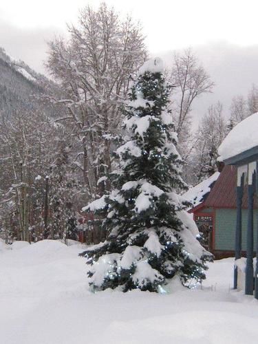 Blair Street Hostel Telluride Exteriér fotografie